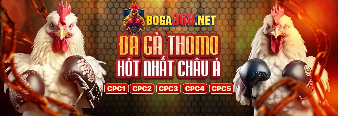Sân vận động lớn với đèn sáng và màn hình hiển thị cá cược thể thao kjc88