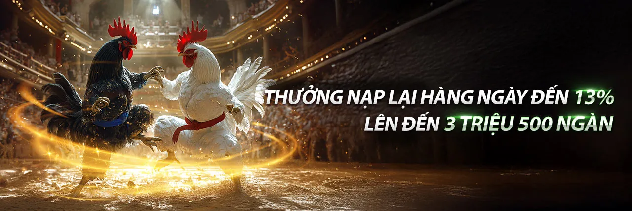 Đá Gà Trực Tiếp Thomo 7/5/2022 - Sân đấu kịch tính